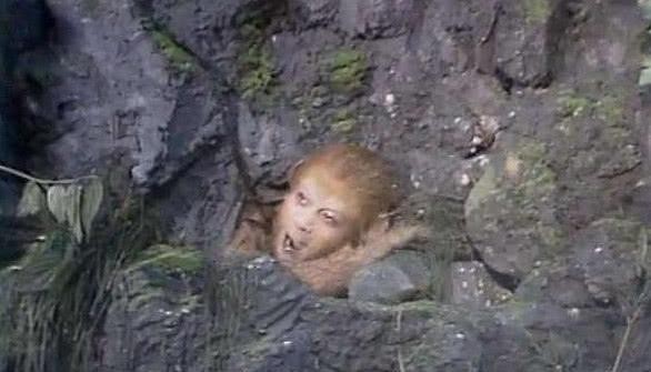 壓住孫悟空那種石頭 壓住孫悟空那種石頭